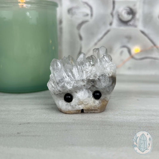 Clear Quartz Crystal Cluster Pet Rock Carving