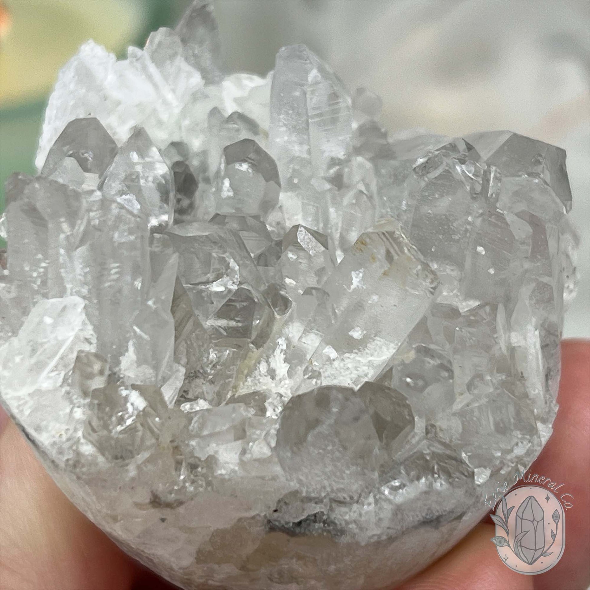 Clear Quartz Crystal Cluster Pet Rock Carving