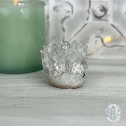 Clear Quartz Crystal Cluster Pet Rock Carving