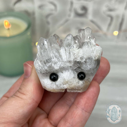 Clear Quartz Crystal Cluster Pet Rock Carving