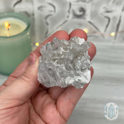 Clear Quartz Crystal Cluster Pet Rock Carving