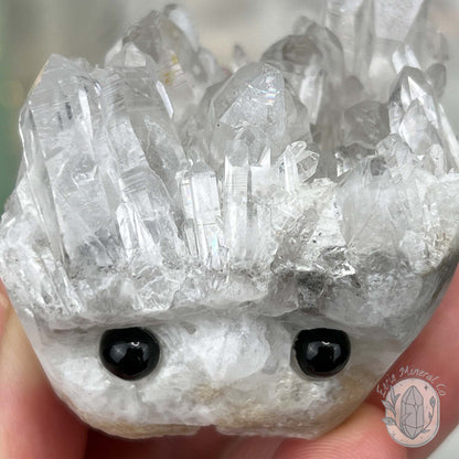 Clear Quartz Crystal Cluster Pet Rock Carving