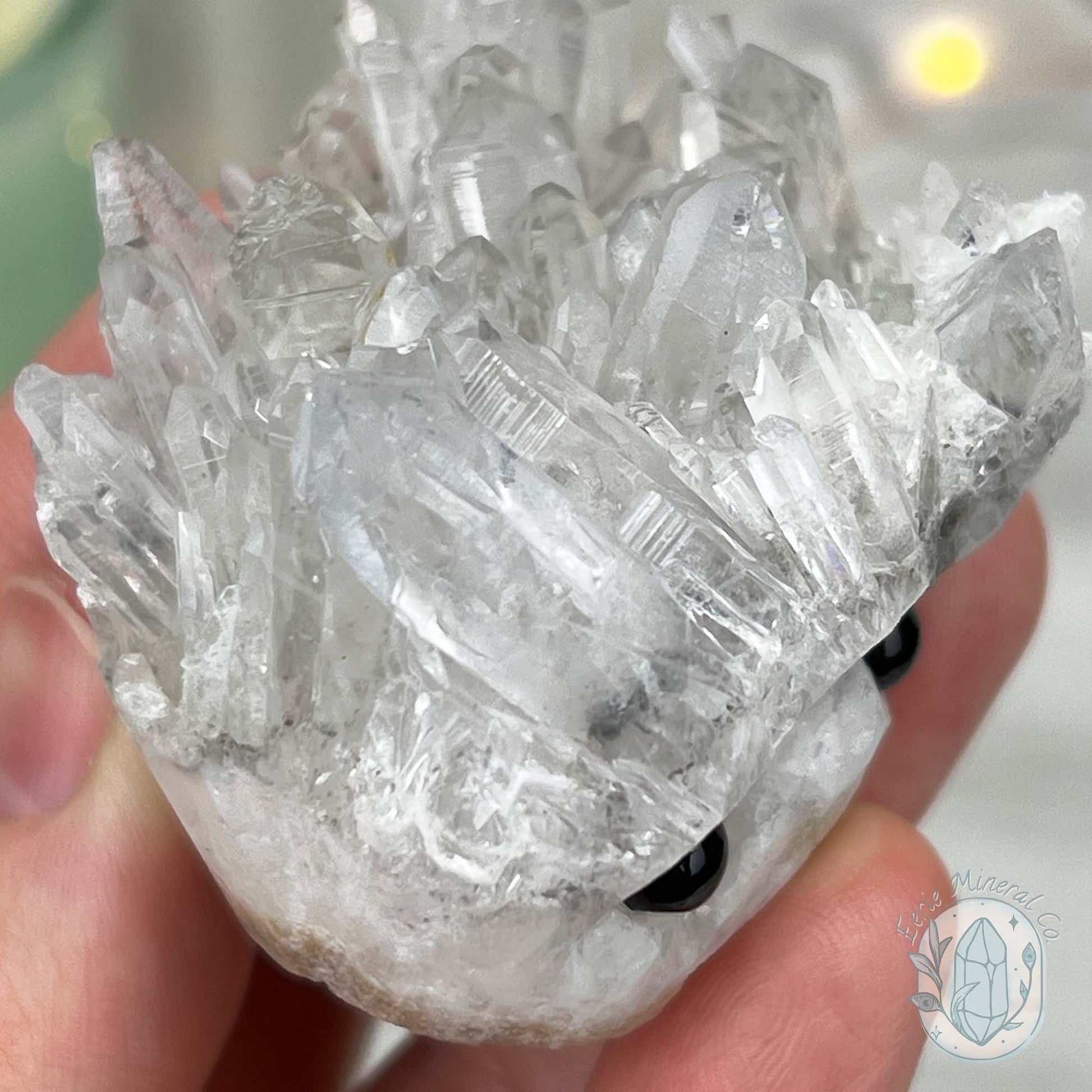 Clear Quartz Crystal Cluster Pet Rock Carving