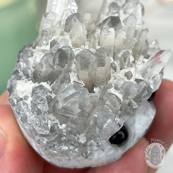 Clear Quartz Crystal Cluster Pet Rock Carving