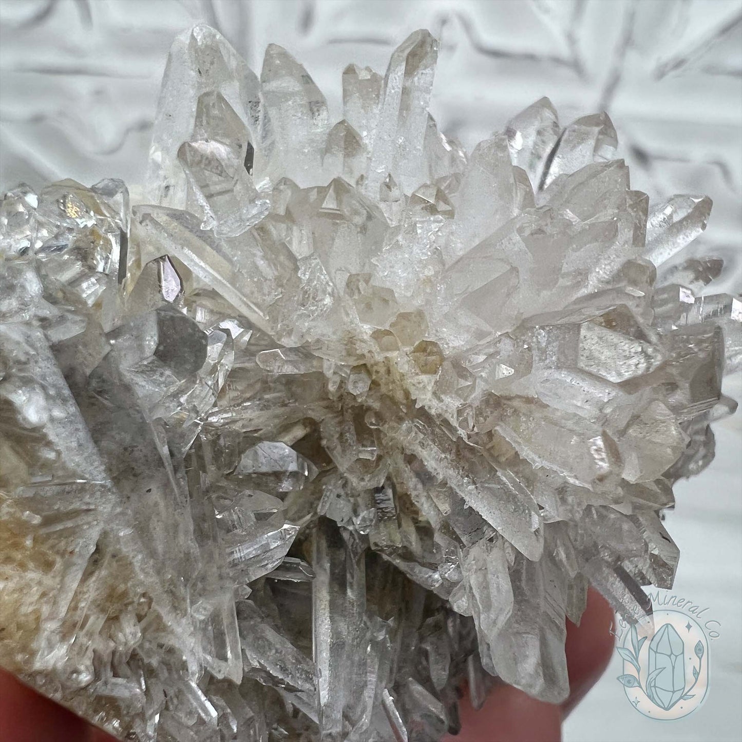 Clear Quartz Crystal Cluster Pet Rock Carving