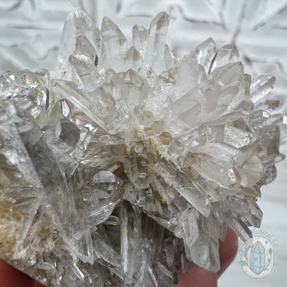 Clear Quartz Crystal Cluster Pet Rock Carving