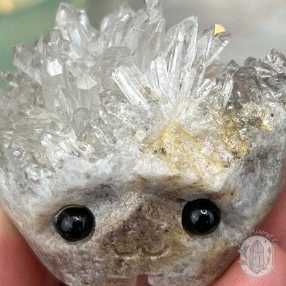 Clear Quartz Crystal Cluster Pet Rock Carving