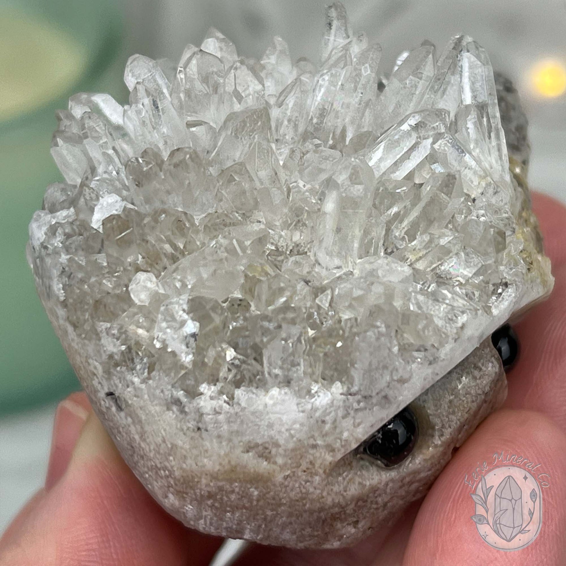 Clear Quartz Crystal Cluster Pet Rock Carving