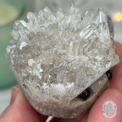 Clear Quartz Crystal Cluster Pet Rock Carving