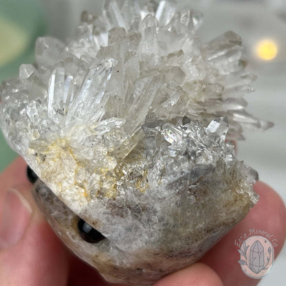 Clear Quartz Crystal Cluster Pet Rock Carving