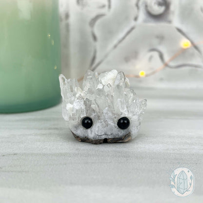 Clear Quartz Crystal Cluster Pet Rock Carving