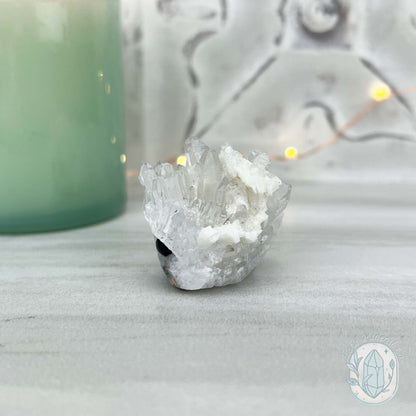 Clear Quartz Crystal Cluster Pet Rock Carving