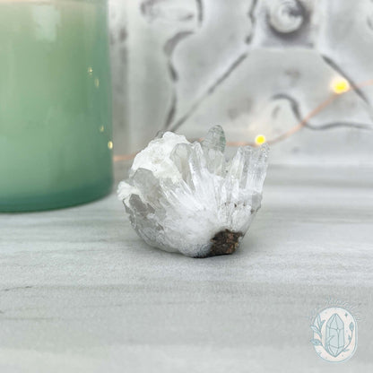 Clear Quartz Crystal Cluster Pet Rock Carving