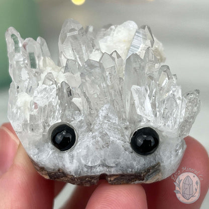 Clear Quartz Crystal Cluster Pet Rock Carving