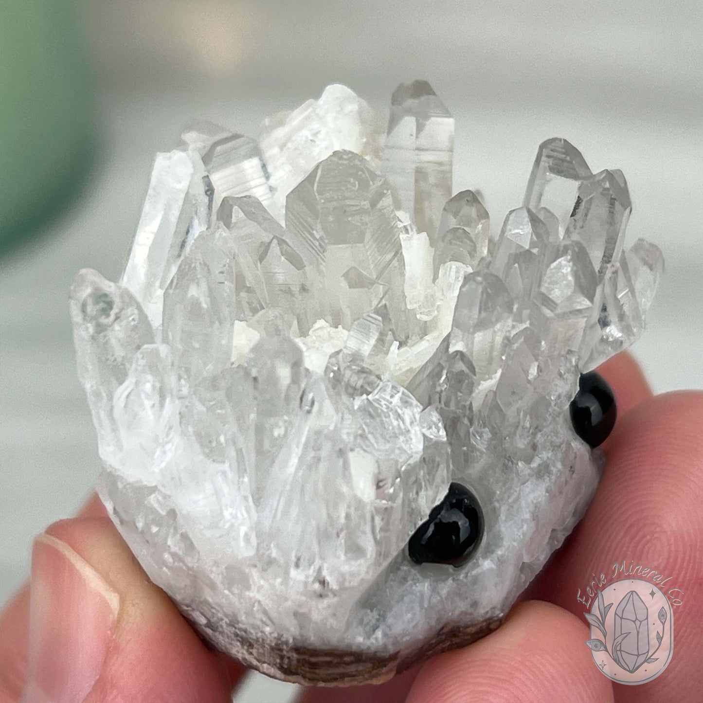 Clear Quartz Crystal Cluster Pet Rock Carving
