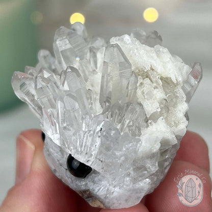 Clear Quartz Crystal Cluster Pet Rock Carving