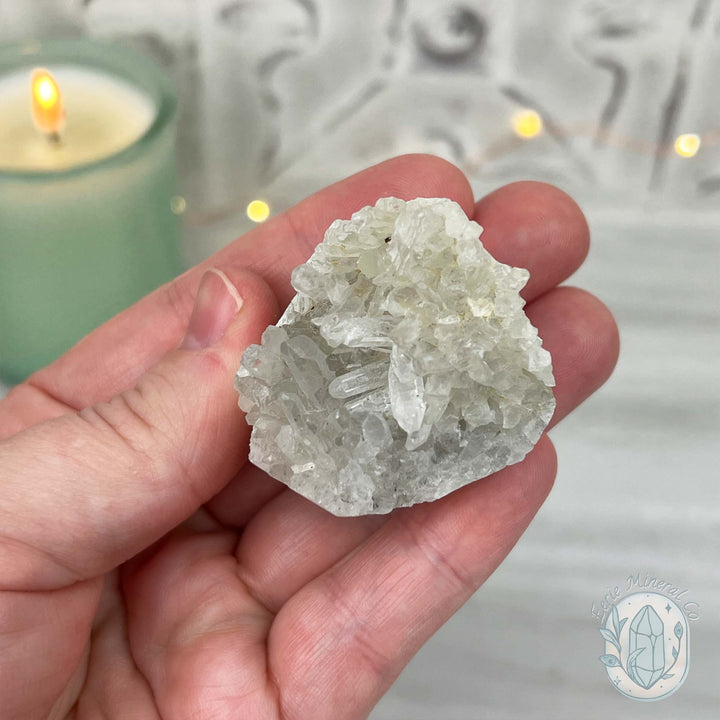 Clear Quartz Crystal Cluster Pet Rock Carving