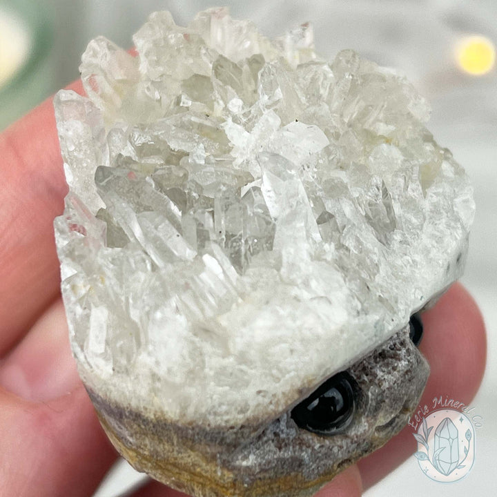 Clear Quartz Crystal Cluster Pet Rock Carving