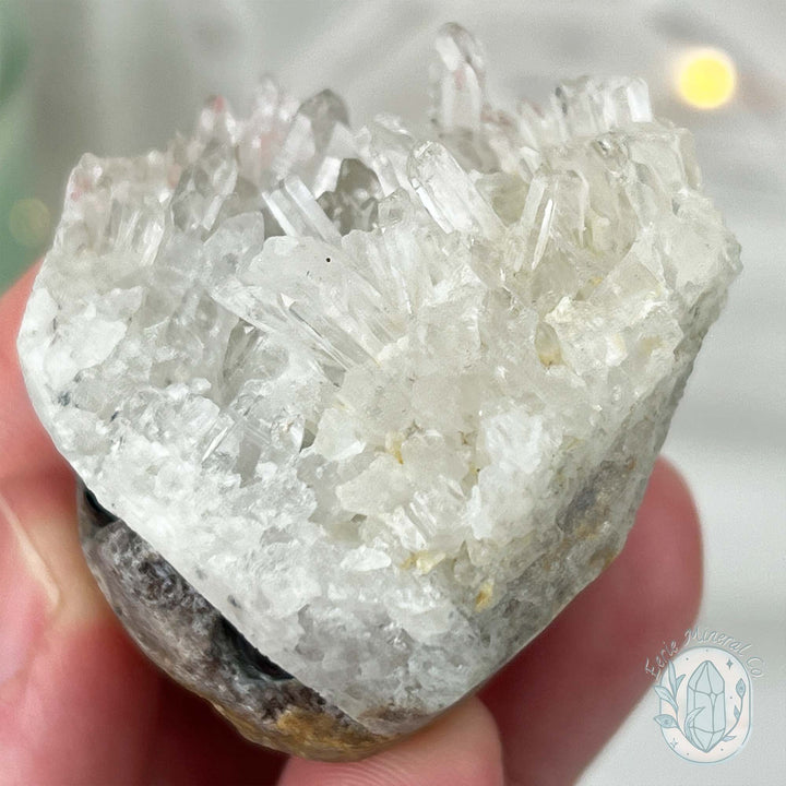 Clear Quartz Crystal Cluster Pet Rock Carving