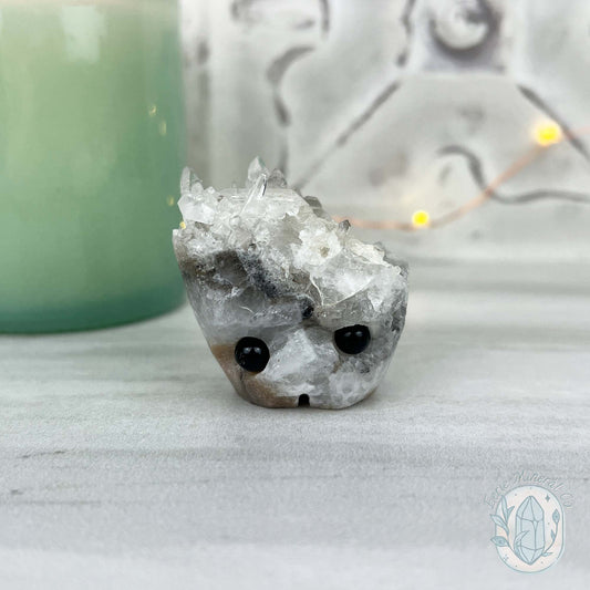 Clear Quartz Crystal Cluster Pet Rock Carving