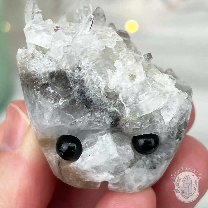 Clear Quartz Crystal Cluster Pet Rock Carving