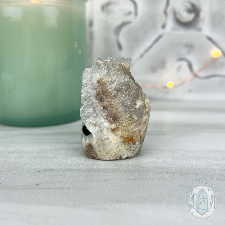 Clear Quartz Crystal Cluster Pet Rock Carving