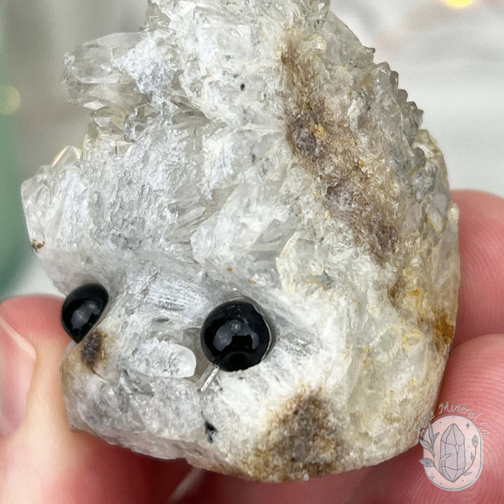 Clear Quartz Crystal Cluster Pet Rock Carving