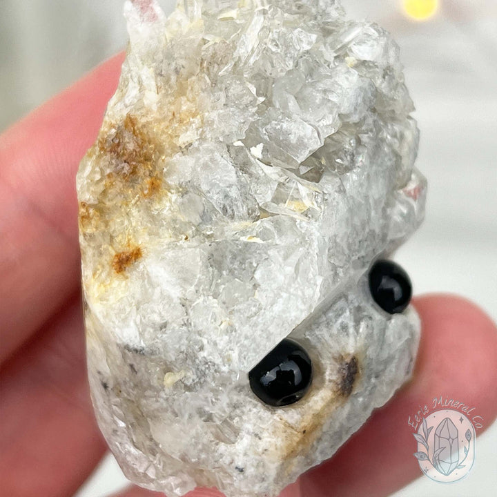 Clear Quartz Crystal Cluster Pet Rock Carving