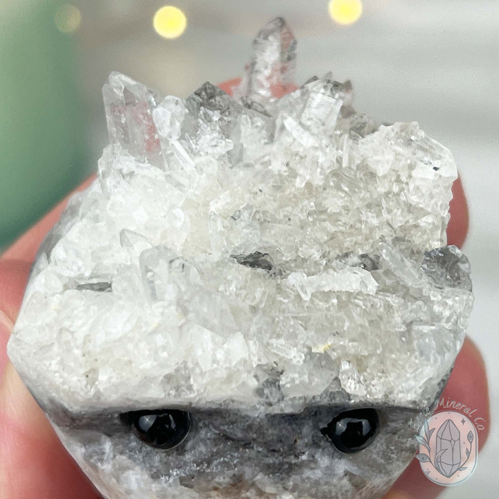 Clear Quartz Crystal Cluster Pet Rock Carving