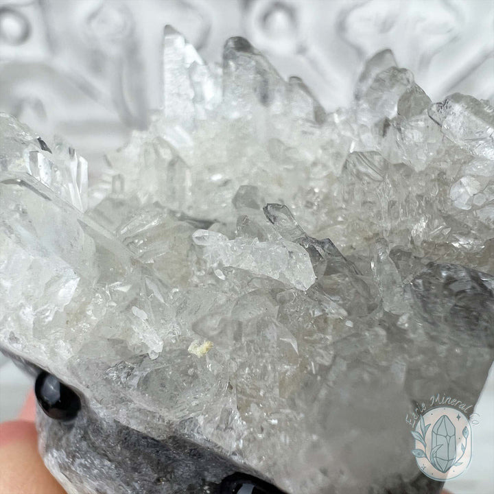 Clear Quartz Crystal Cluster Pet Rock Carving