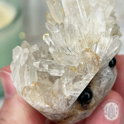 Clear Quartz Crystal Cluster Rock Buddy Carving