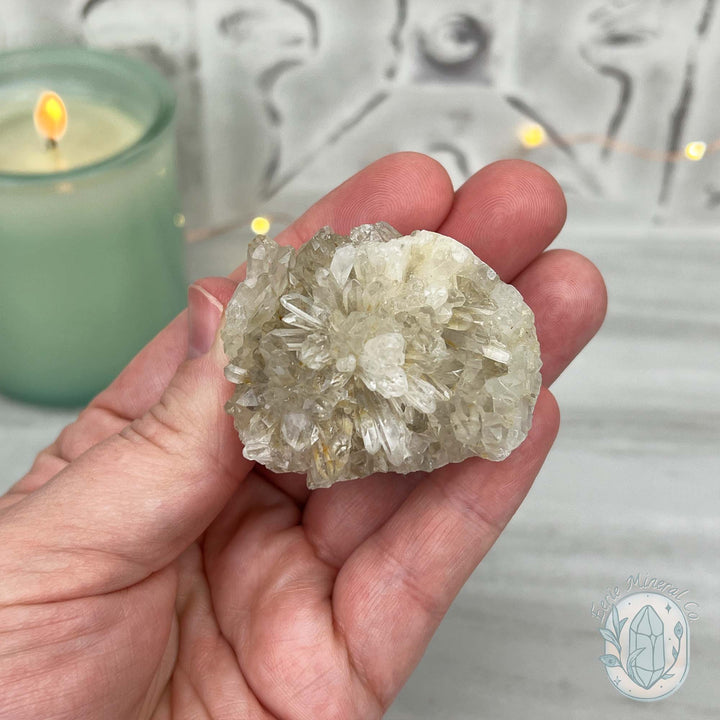 Clear Quartz Crystal Cluster Pet Rock Carving