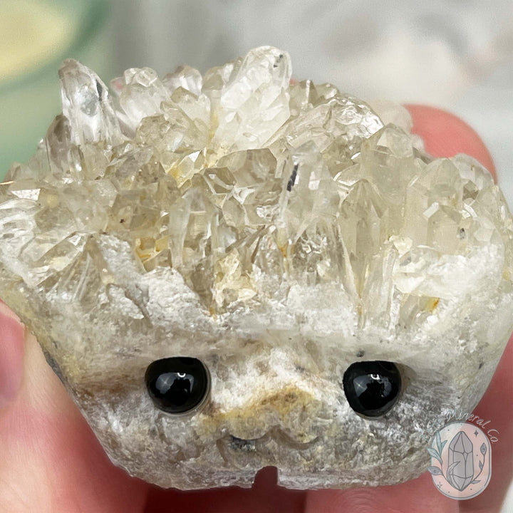 Clear Quartz Crystal Cluster Pet Rock Carving