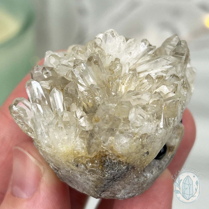 Clear Quartz Crystal Cluster Pet Rock Carving