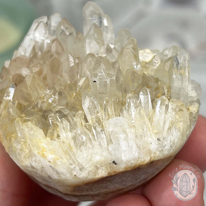 Clear Quartz Crystal Cluster Pet Rock Carving