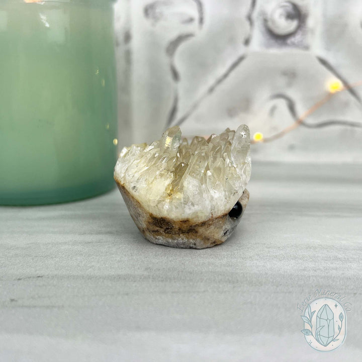 Clear Quartz Crystal Cluster Pet Rock Carving