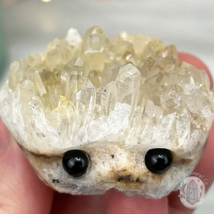 Clear Quartz Crystal Cluster Pet Rock Carving