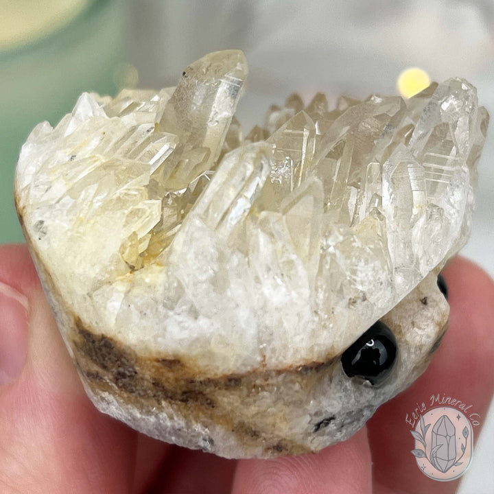 Clear Quartz Crystal Cluster Pet Rock Carving