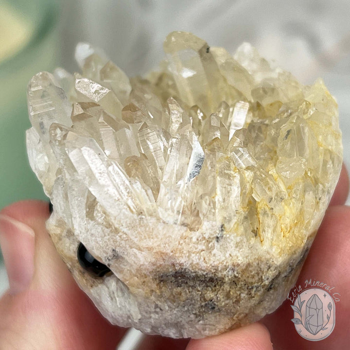 Clear Quartz Crystal Cluster Pet Rock Carving