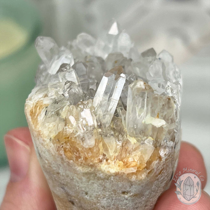 Clear Quartz Crystal Cluster Pet Rock Carving