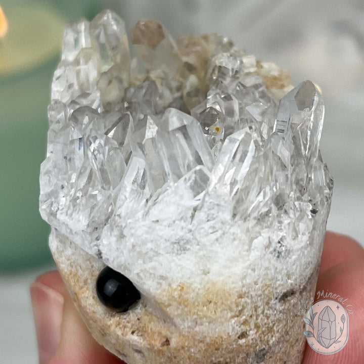 Clear Quartz Crystal Cluster Pet Rock Carving