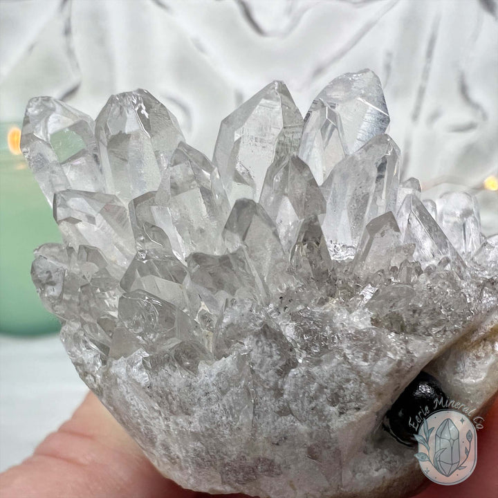 Clear Quartz Crystal Cluster Pet Rock Carving