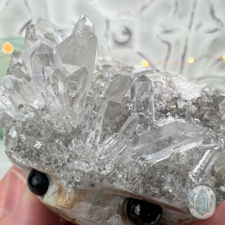 Clear Quartz Crystal Cluster Pet Rock Carving