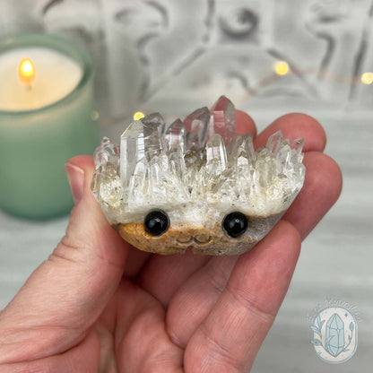 Clear Quartz Crystal Cluster Pet Rock Carving