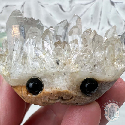 Clear Quartz Crystal Cluster Pet Rock Carving