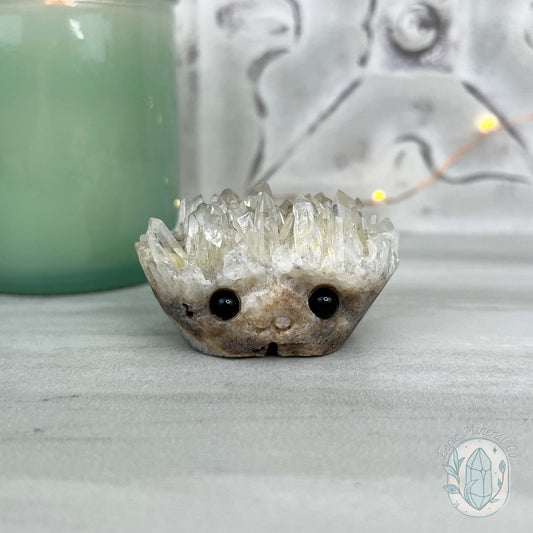 Clear Quartz Crystal Cluster Pet Rock Carving