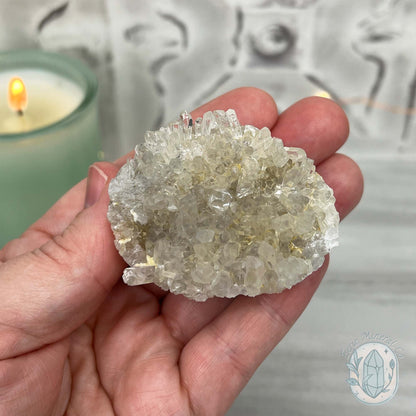 Clear Quartz Crystal Cluster Pet Rock Carving