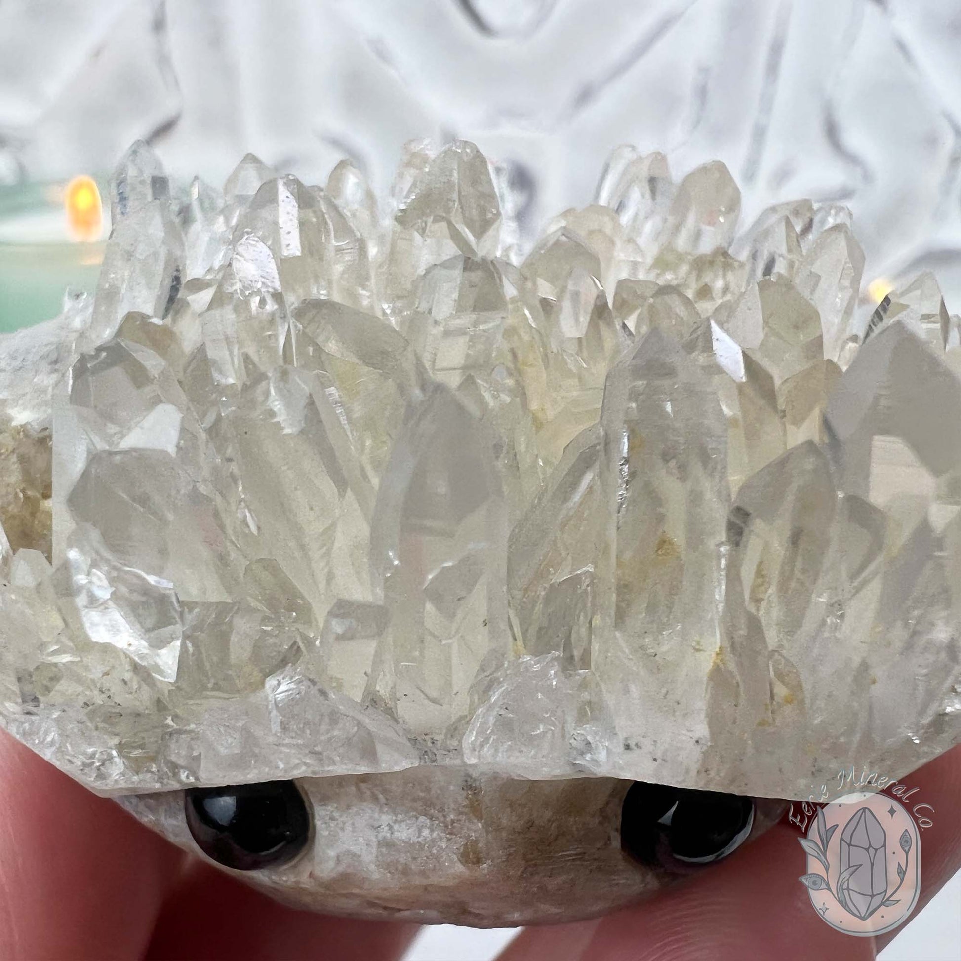 Clear Quartz Crystal Cluster Pet Rock Carving