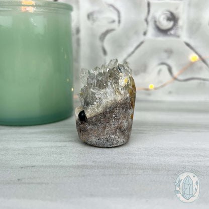 Clear Quartz Crystal Cluster Pet Rock Carving