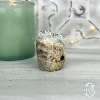 Clear Quartz Crystal Cluster Pet Rock Carving